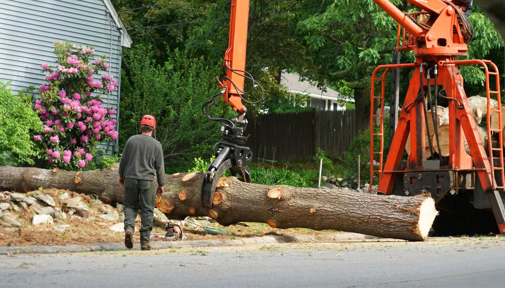 Local partner for Tree removal services in Raleigh